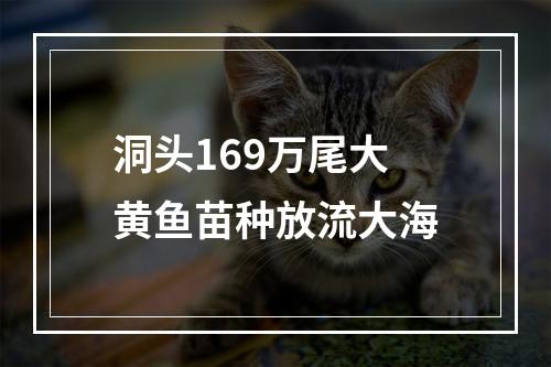 洞头169万尾大黄鱼苗种放流大海