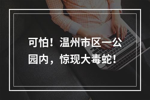 可怕！温州市区一公园内，惊现大毒蛇！
