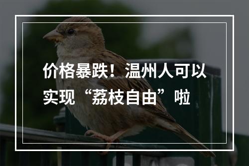 价格暴跌！温州人可以实现“荔枝自由”啦