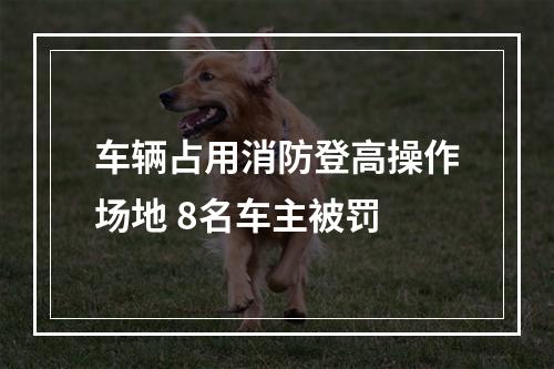 车辆占用消防登高操作场地 8名车主被罚