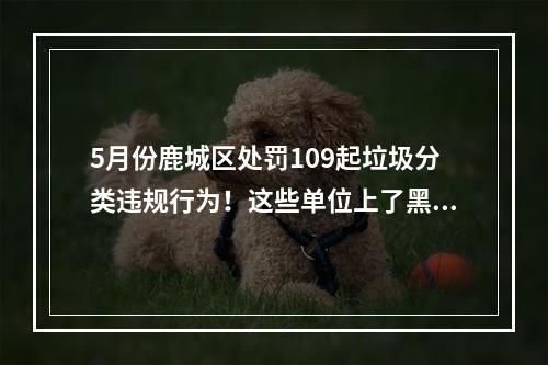 5月份鹿城区处罚109起垃圾分类违规行为！这些单位上了黑榜