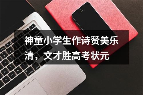 神童小学生作诗赞美乐清，文才胜高考状元