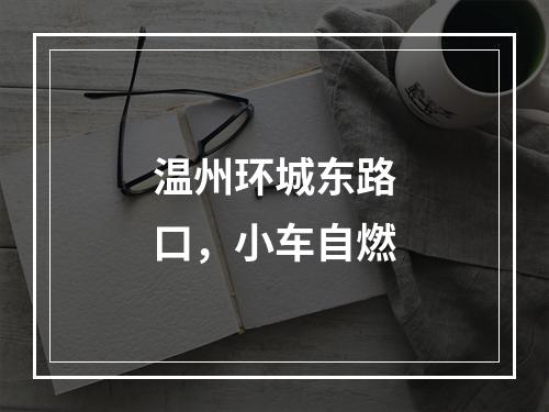 温州环城东路口，小车自燃