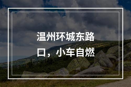 温州环城东路口，小车自燃