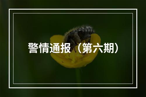 警情通报（第六期）