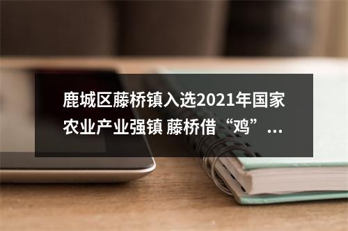 鹿城区藤桥镇入选2021年国家农业产业强镇 藤桥借“鸡”振翅腾飞