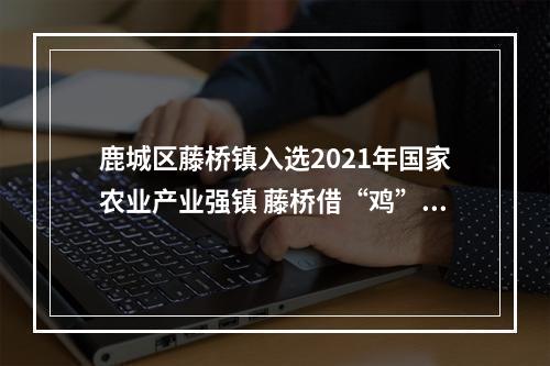 鹿城区藤桥镇入选2021年国家农业产业强镇 藤桥借“鸡”振翅腾飞