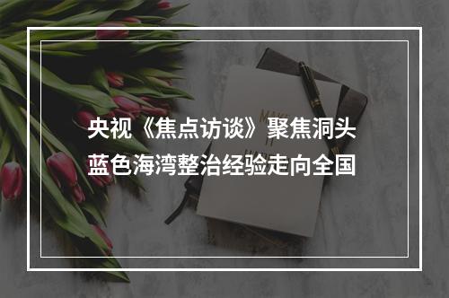 央视《焦点访谈》聚焦洞头 蓝色海湾整治经验走向全国