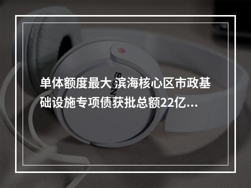 单体额度最大 滨海核心区市政基础设施专项债获批总额22亿元