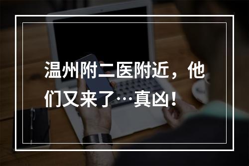 温州附二医附近，他们又来了…真凶！