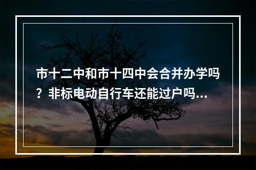 市十二中和市十四中会合并办学吗？非标电动自行车还能过户吗?