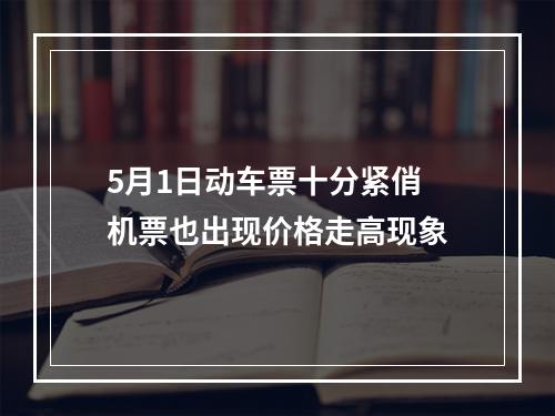 5月1日动车票十分紧俏 机票也出现价格走高现象