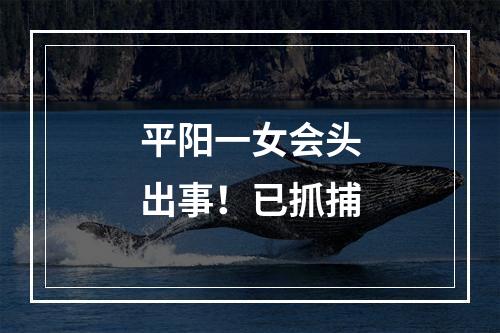 平阳一女会头出事！已抓捕