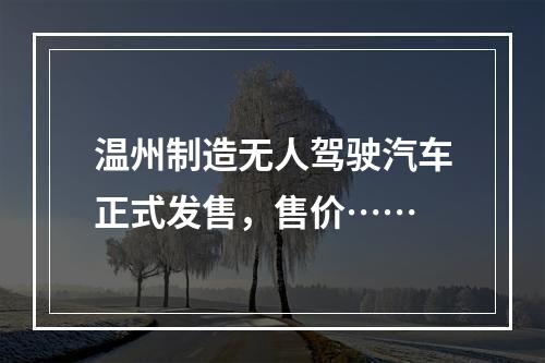 温州制造无人驾驶汽车正式发售，售价……