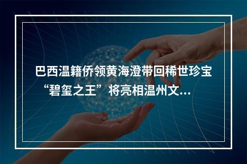 巴西温籍侨领黄海澄带回稀世珍宝 “碧玺之王”将亮相温州文博会