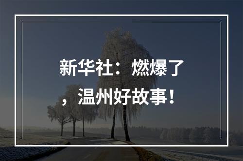 新华社：燃爆了，温州好故事！