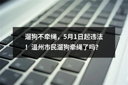 遛狗不牵绳，5月1日起违法！温州市民遛狗牵绳了吗？