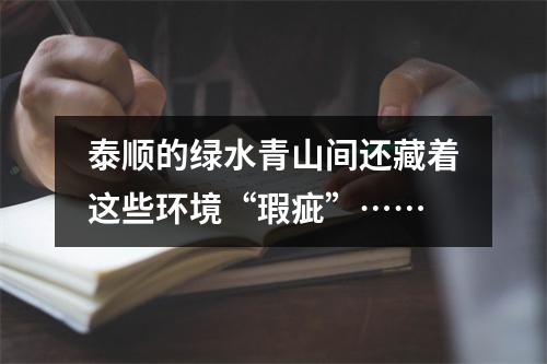 泰顺的绿水青山间还藏着这些环境“瑕疵”……