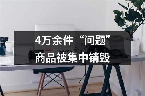 4万余件“问题”商品被集中销毁