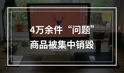 4万余件“问题”商品被集中销毁