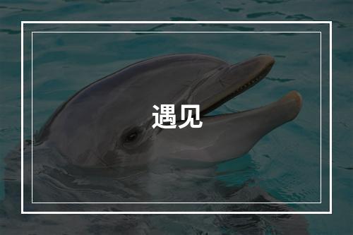 遇见