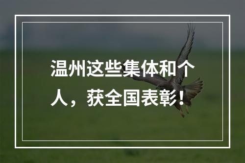 温州这些集体和个人，获全国表彰！