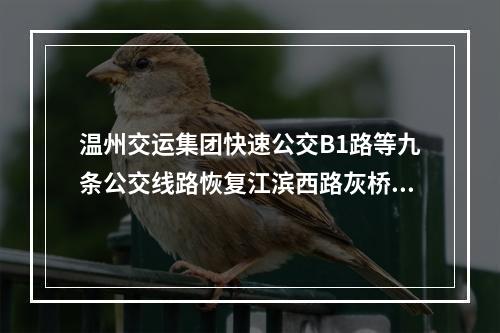 温州交运集团快速公交B1路等九条公交线路恢复江滨西路灰桥浦桥双向运行