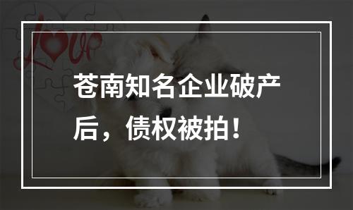 苍南知名企业破产后，债权被拍！