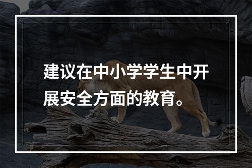 建议在中小学学生中开展安全方面的教育。