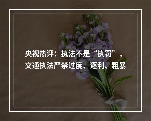 央视热评：执法不是“执罚”，交通执法严禁过度、逐利、粗暴