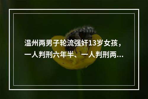 温州两男子轮流强奸13岁女孩，一人判刑六年半、一人判刑两年