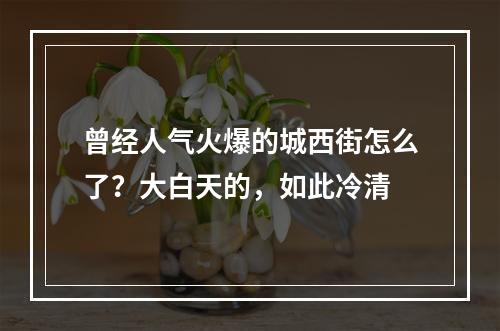 曾经人气火爆的城西街怎么了？大白天的，如此冷清