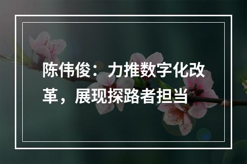陈伟俊：力推数字化改革，展现探路者担当