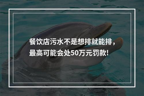 餐饮店污水不是想排就能排，最高可能会处50万元罚款!