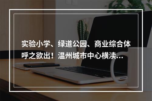 实验小学、绿道公园、商业综合体呼之欲出！温州城市中心横渎片区蝶变升级
