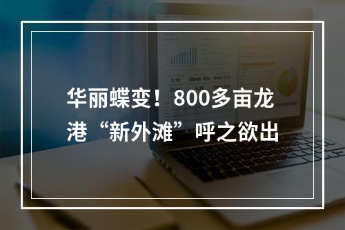 华丽蝶变！800多亩龙港“新外滩”呼之欲出