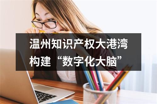 温州知识产权大港湾构建“数字化大脑”