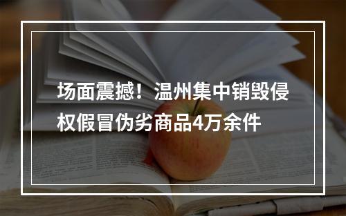 场面震撼！温州集中销毁侵权假冒伪劣商品4万余件