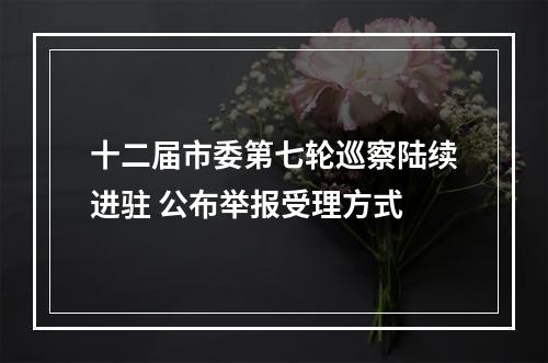 十二届市委第七轮巡察陆续进驻 公布举报受理方式