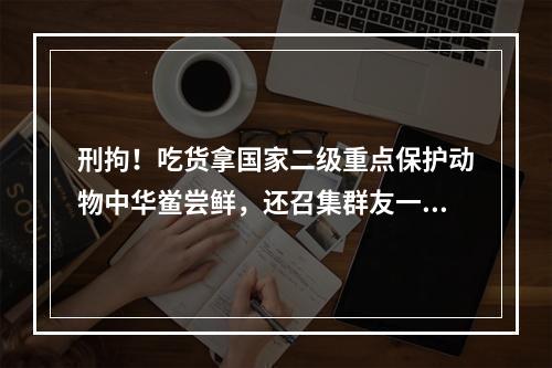 刑拘！吃货拿国家二级重点保护动物中华鲎尝鲜，还召集群友一起品尝