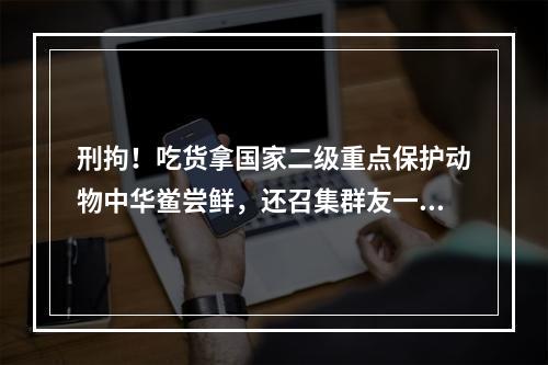 刑拘！吃货拿国家二级重点保护动物中华鲎尝鲜，还召集群友一起品尝