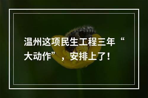 温州这项民生工程三年“大动作”，安排上了！
