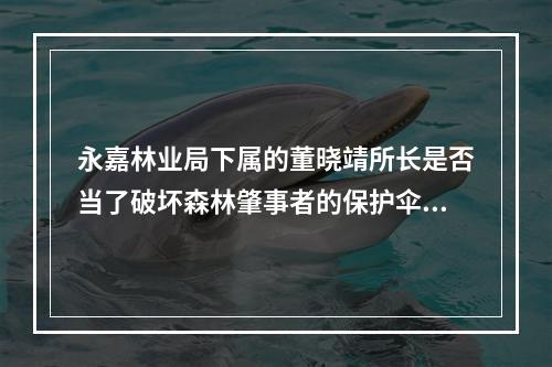 永嘉林业局下属的董晓靖所长是否当了破坏森林肇事者的保护伞？