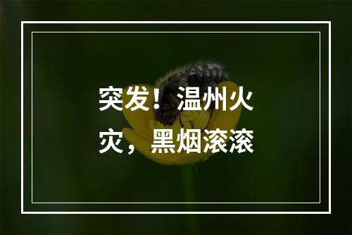 突发！温州火灾，黑烟滚滚