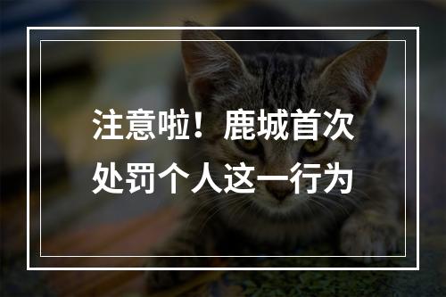 注意啦！鹿城首次处罚个人这一行为