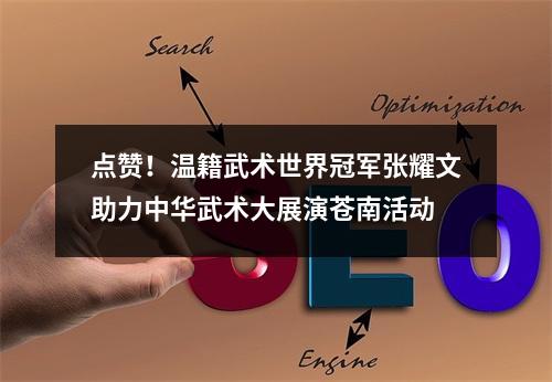 点赞！温籍武术世界冠军张耀文助力中华武术大展演苍南活动