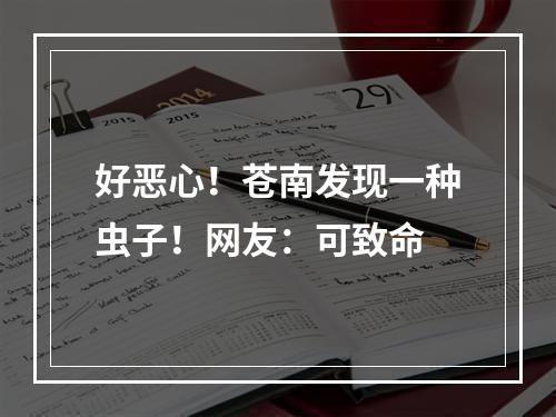 好恶心！苍南发现一种虫子！网友：可致命