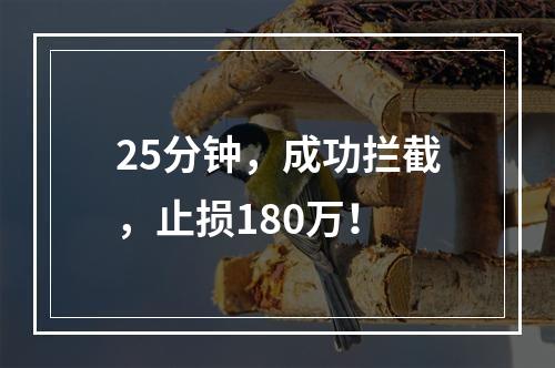 25分钟，成功拦截，止损180万！
