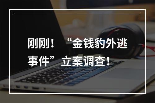 刚刚！“金钱豹外逃事件”立案调查！