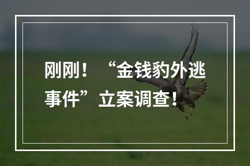 刚刚！“金钱豹外逃事件”立案调查！